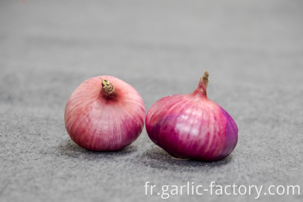 Vacuum packaging peeled garlic